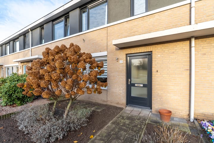 Foto 7 van Wolfskers 37