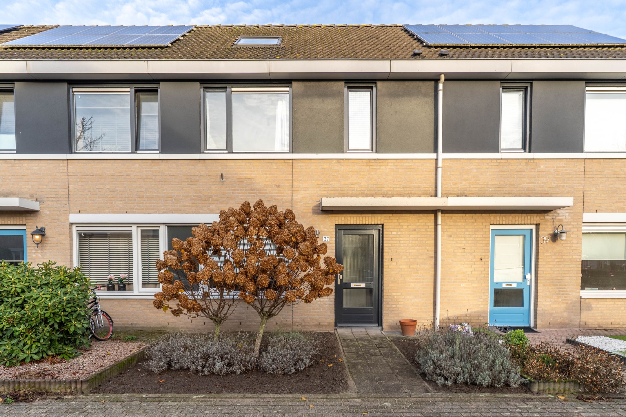 Foto 6 van Wolfskers 37