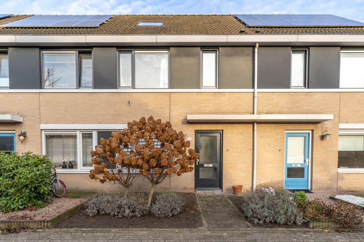 Foto 6 van Wolfskers 37