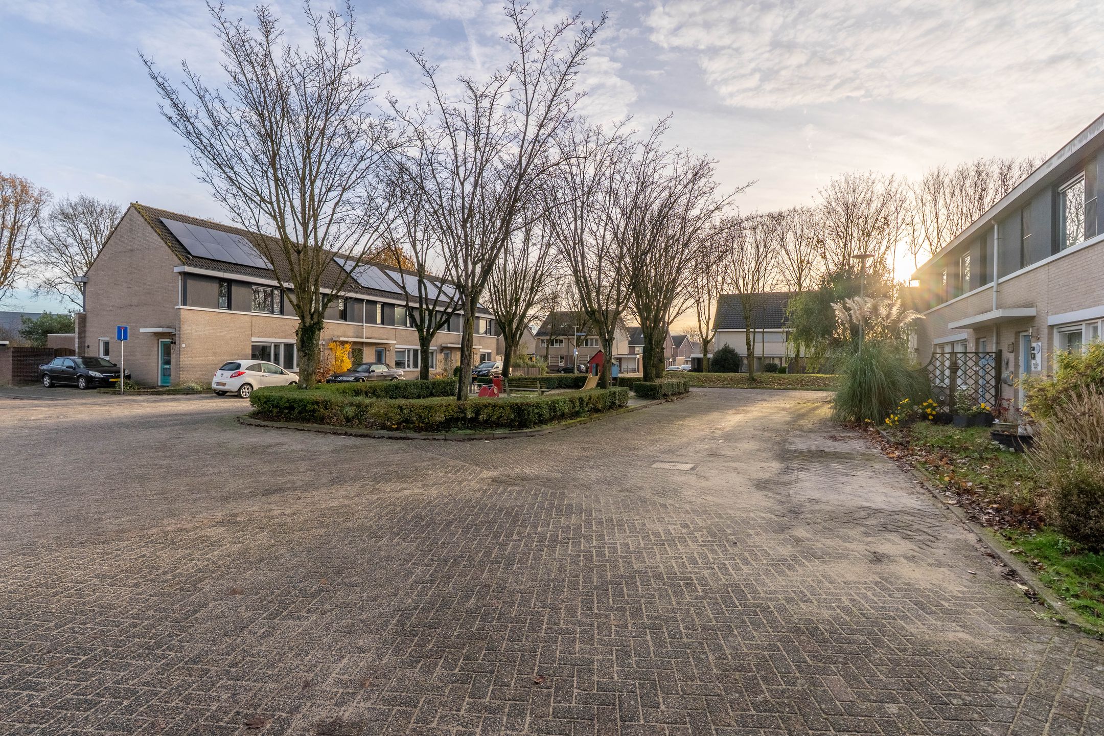 Foto 9 van Wolfskers 37