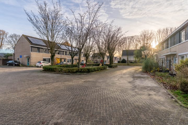 Foto 9 van Wolfskers 37