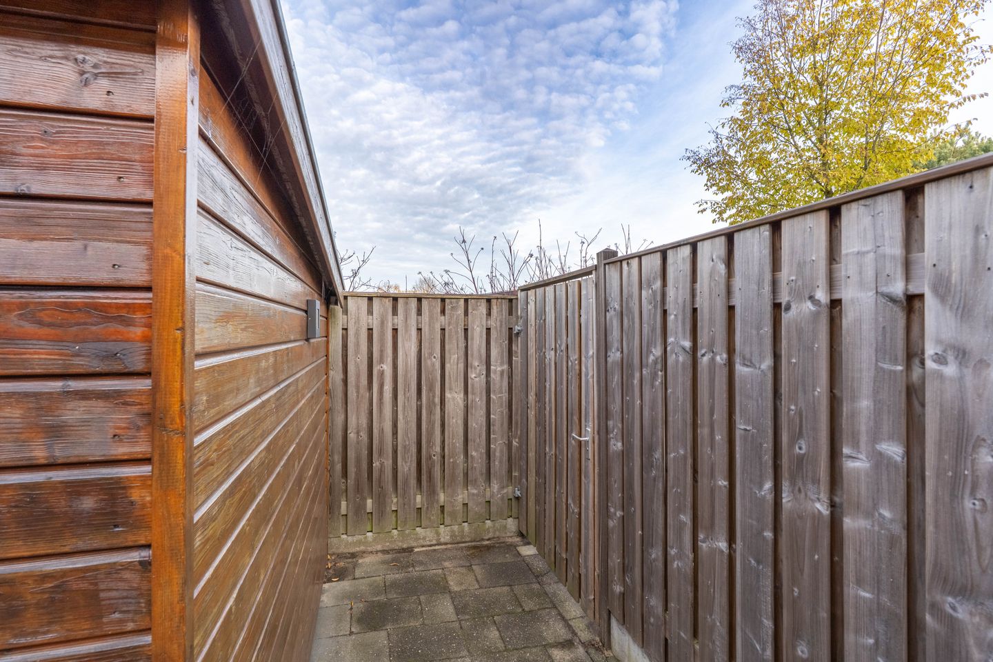 Foto 14 van Wolfskers 37