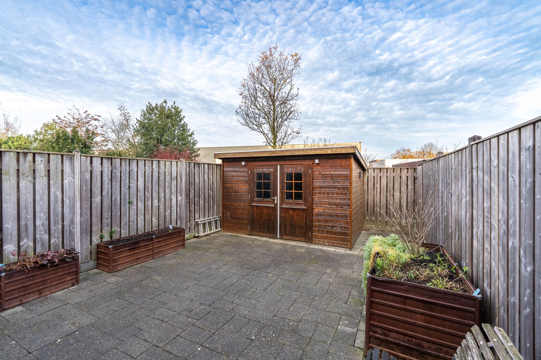 Foto 15 van Wolfskers 37