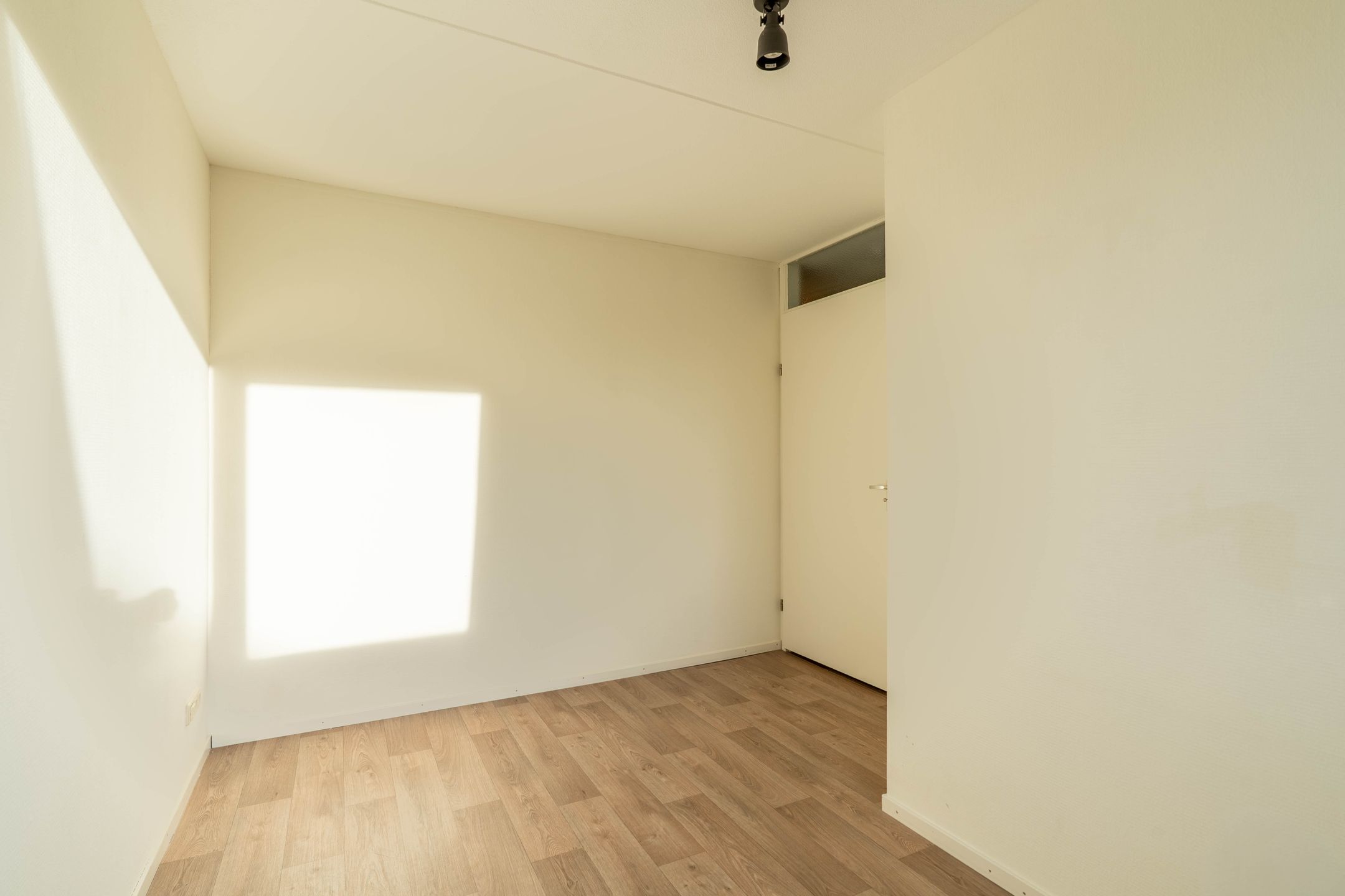 Foto 39 van Wolfskers 37