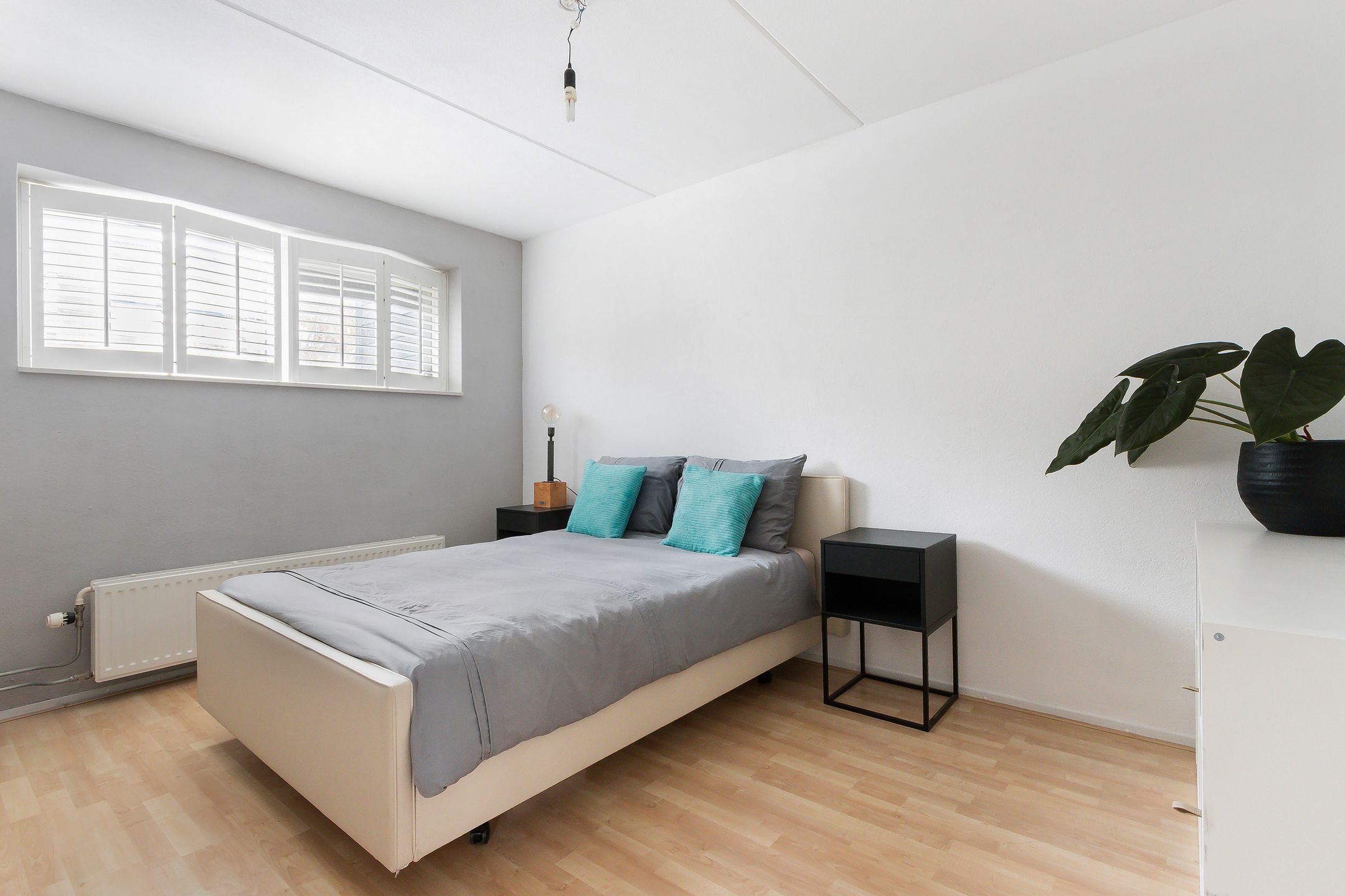 Photo 36 of Noorderlicht 12