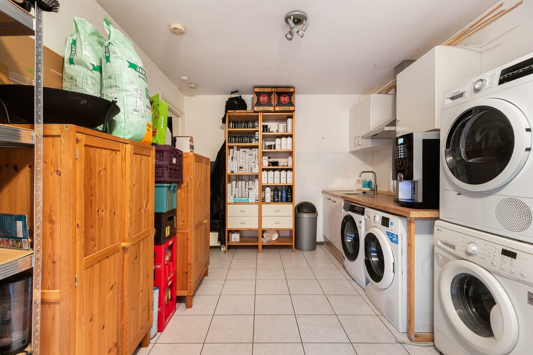 Photo 62 of Noorderlicht 12