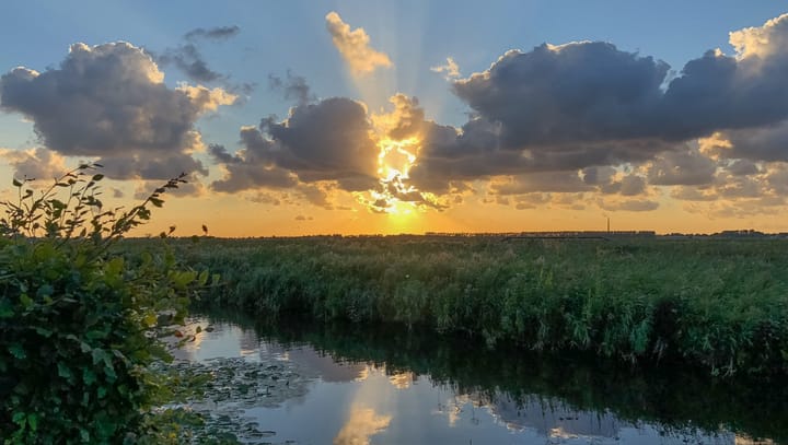 Foto 38 van Duke Ellingtonstraat 9