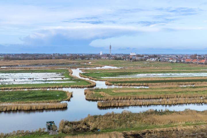 Foto 41 van Duke Ellingtonstraat 9