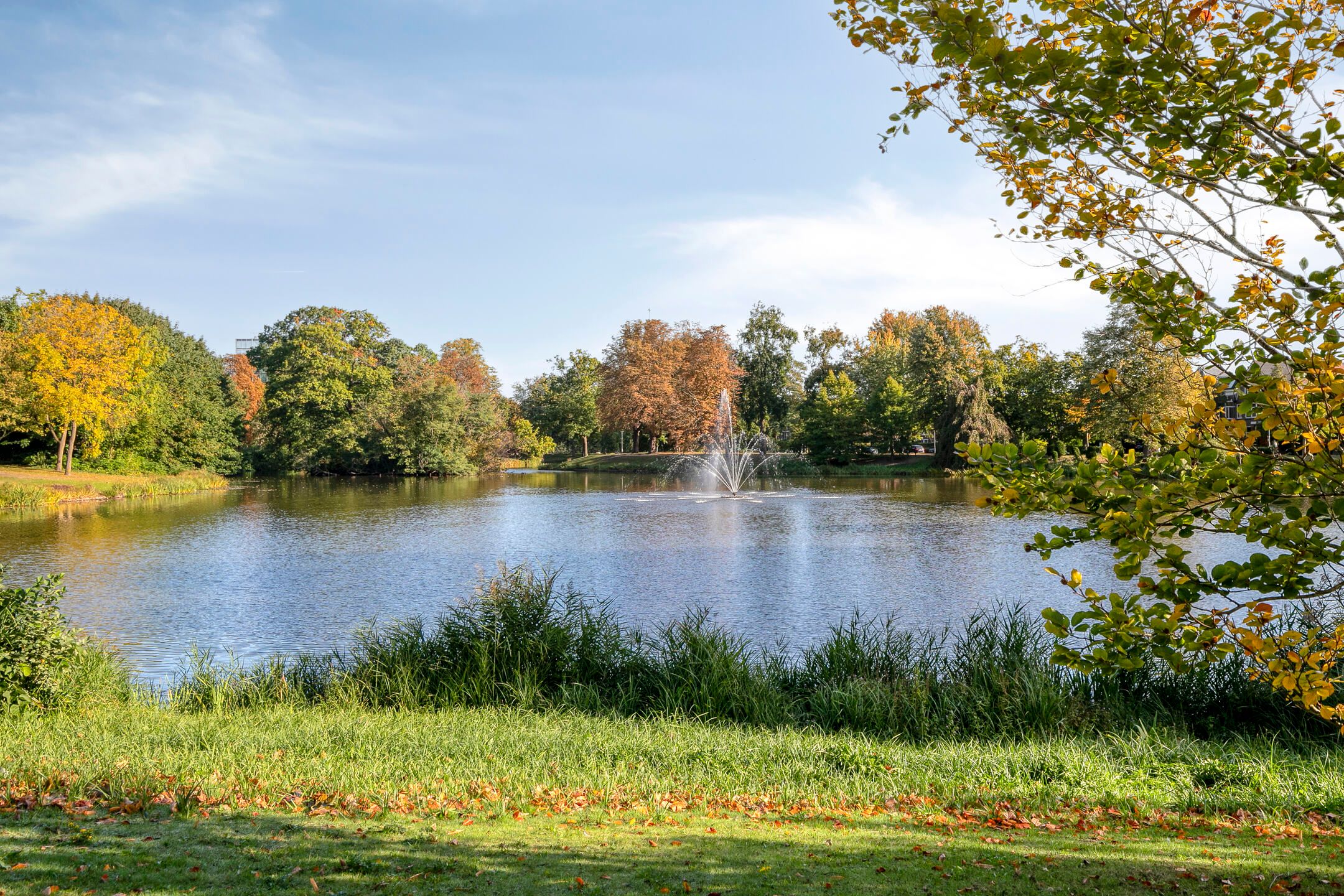 Foto 27 van Koninginnestraat 57