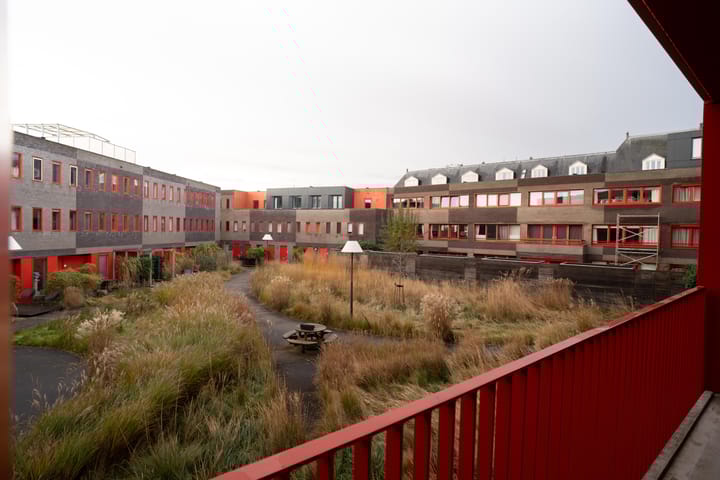 Photo 9 of Ebbingedwinger 24