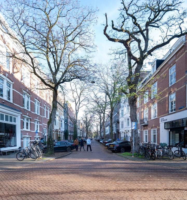 Foto 5 van Van Breestraat 195-1