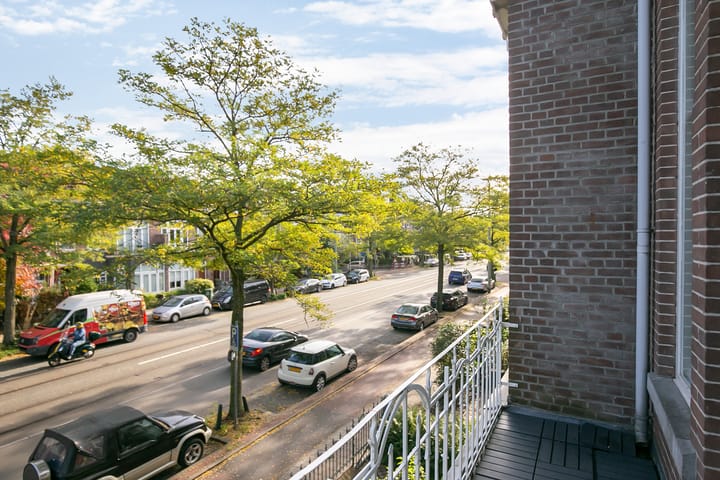 Foto 12 van Laan van Nieuw-Oost-Indië 207-A