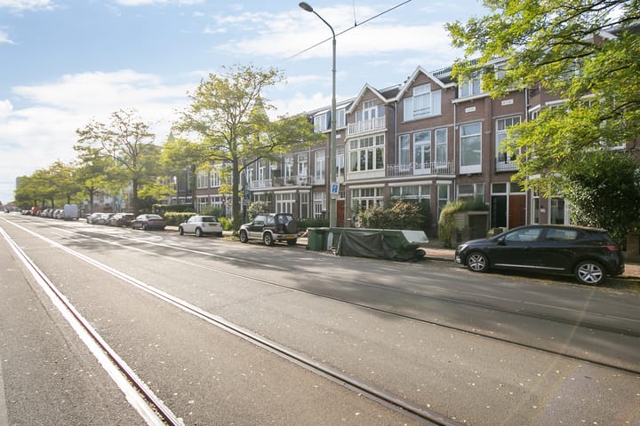 Foto 21 van Laan van Nieuw-Oost-Indië 207-A