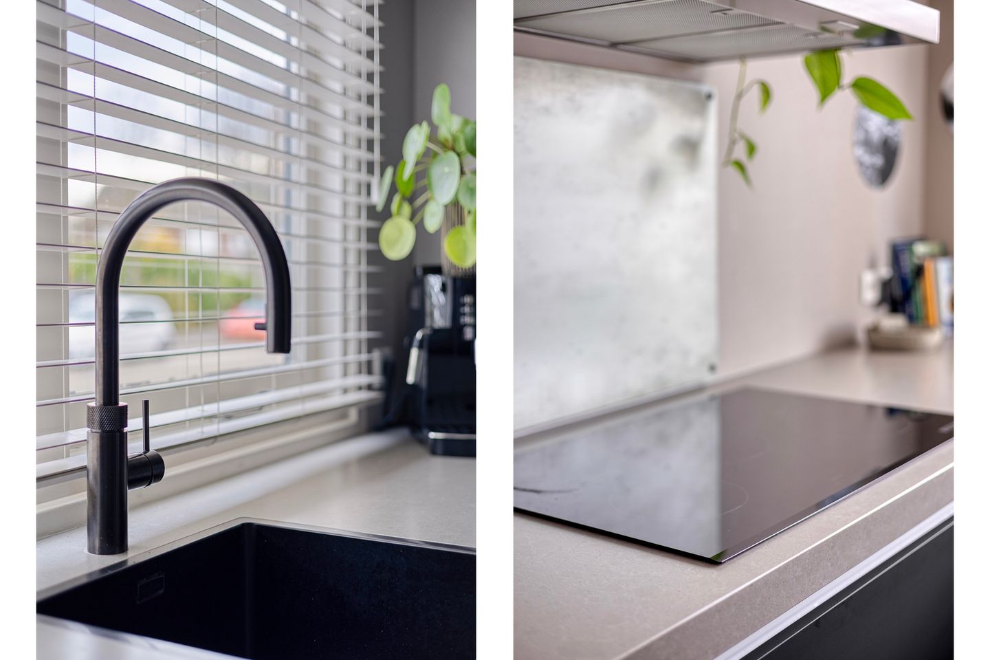 Photo 5 of Penningkruid 44