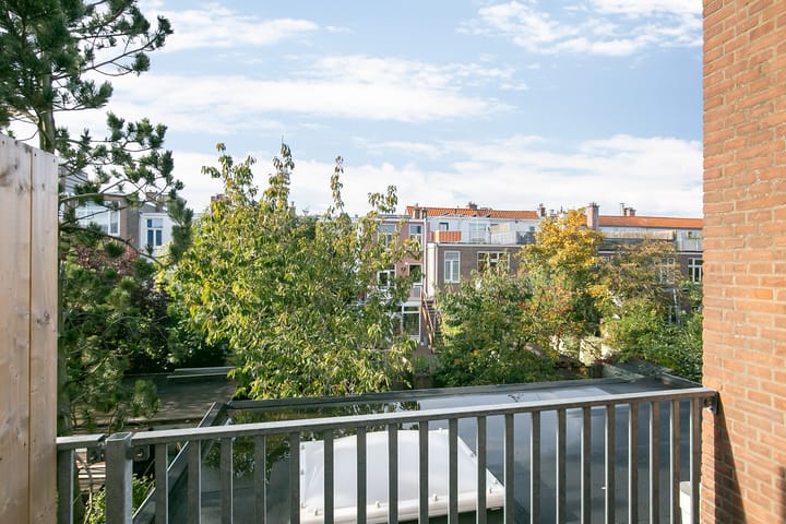 Foto 5 van Laan van Nieuw-Oost-Indië 207-A