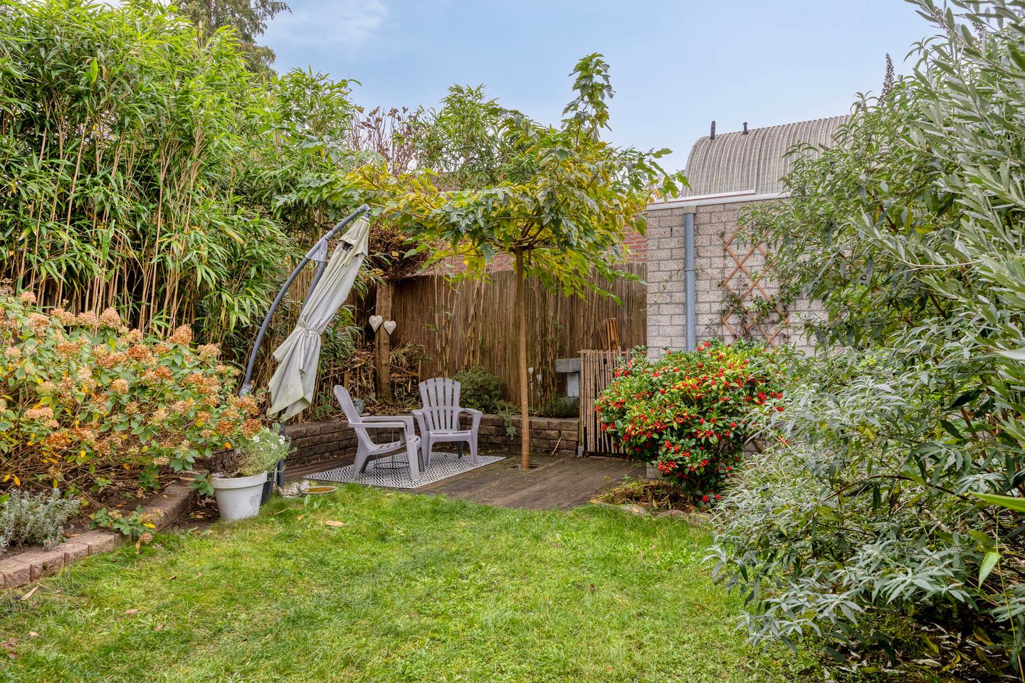 Photo 34 of Penningkruid 44