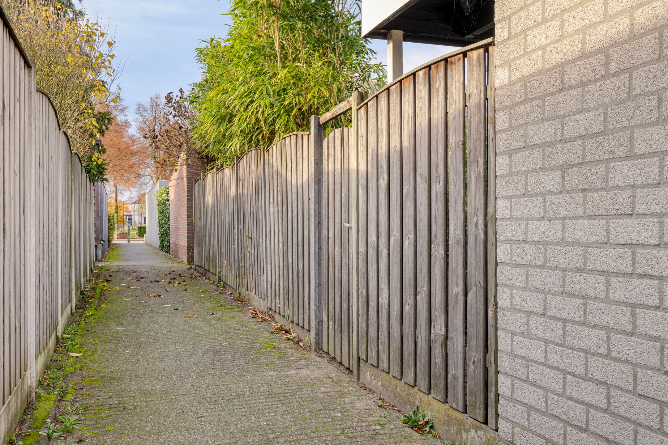 Photo 39 of Penningkruid 44