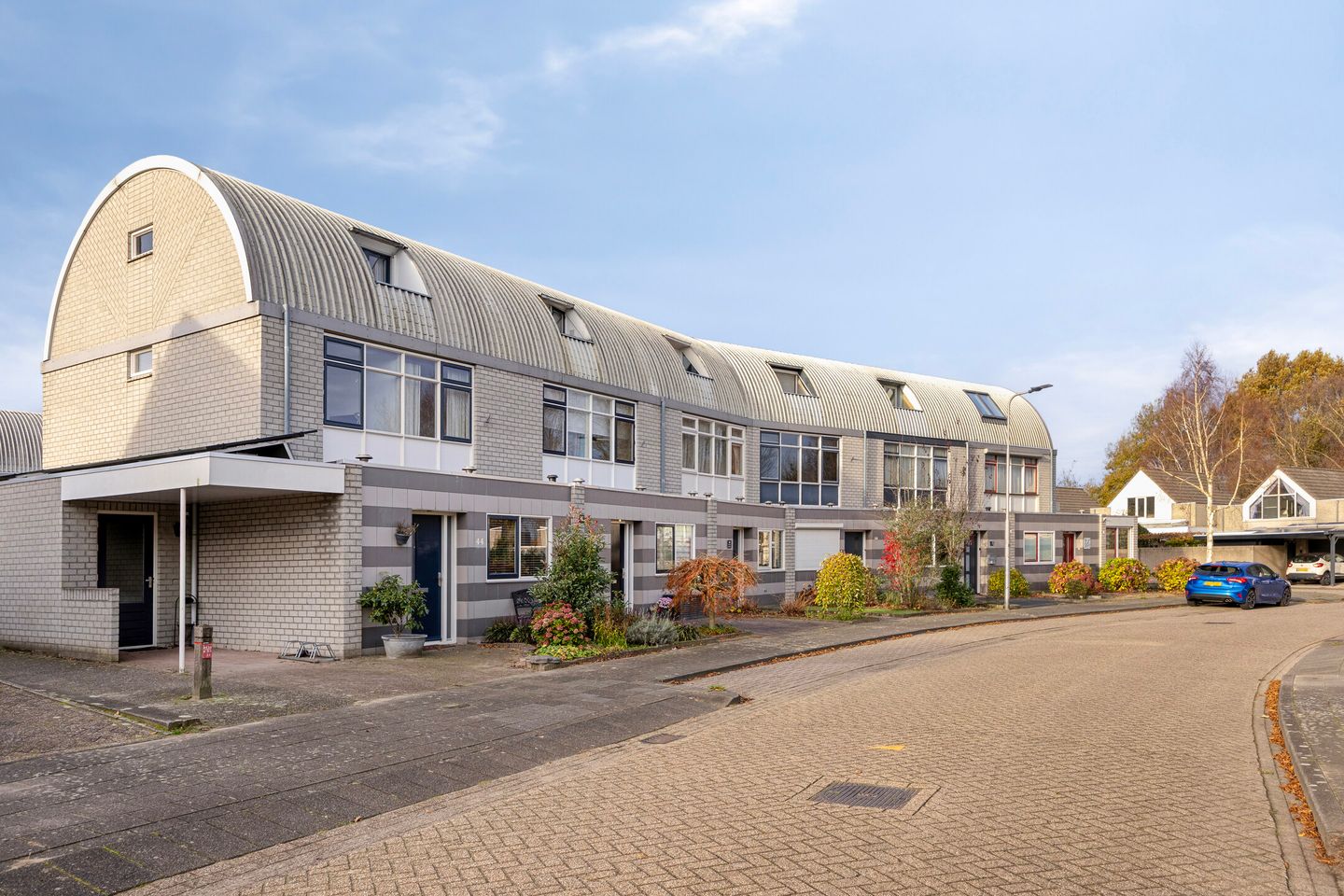 Photo 40 of Penningkruid 44