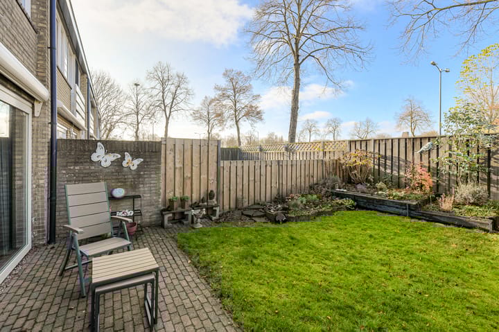 Photo 45 of Orion 28