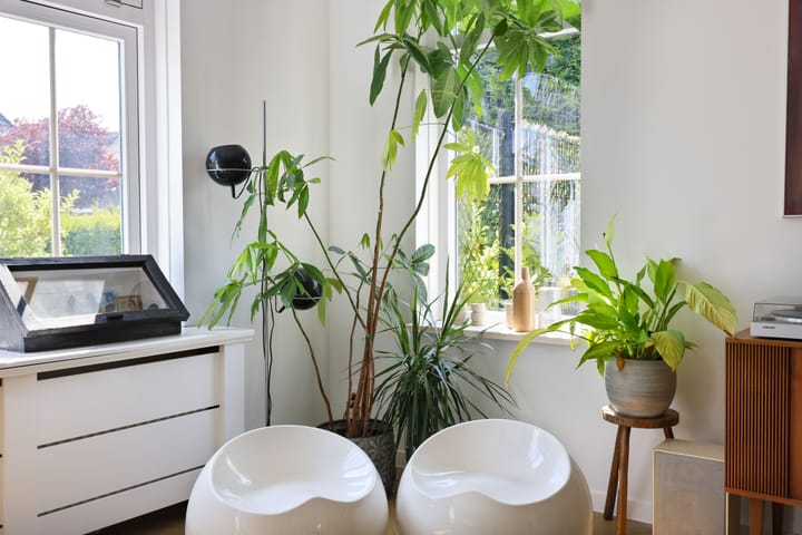 Foto 3 van Marquette 110