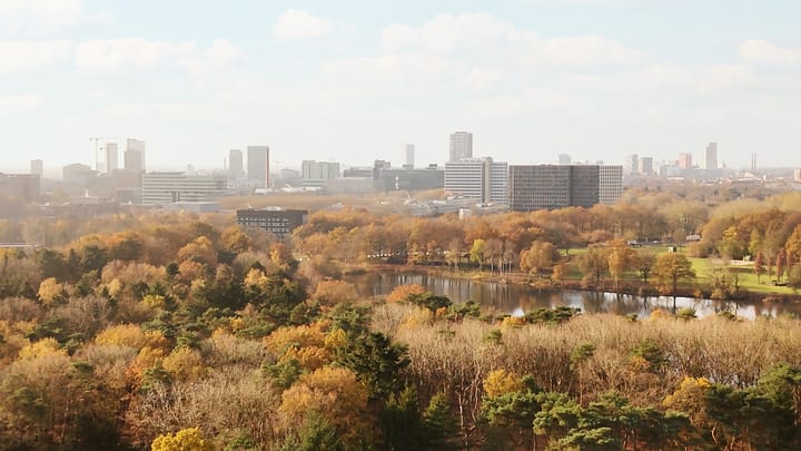 Photo 21 of Johan de Wittlaan 19