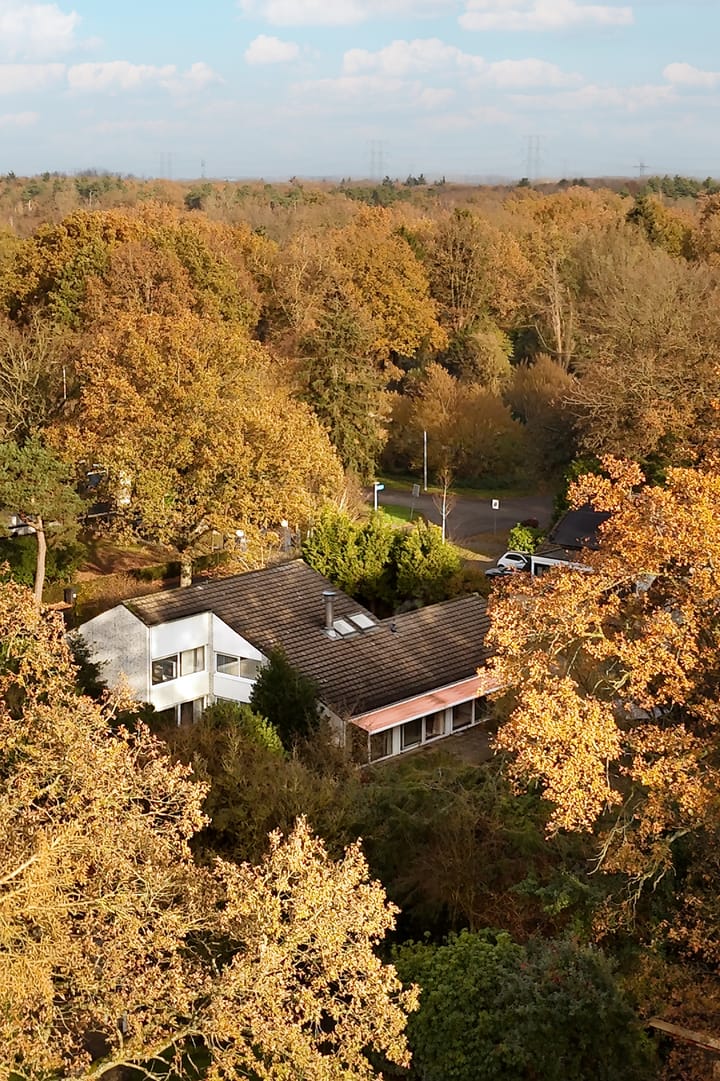 Photo 12 of Johan de Wittlaan 19