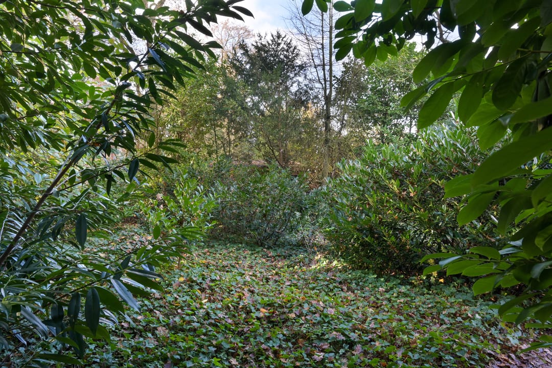 Foto 53 van Johan de Wittlaan 19