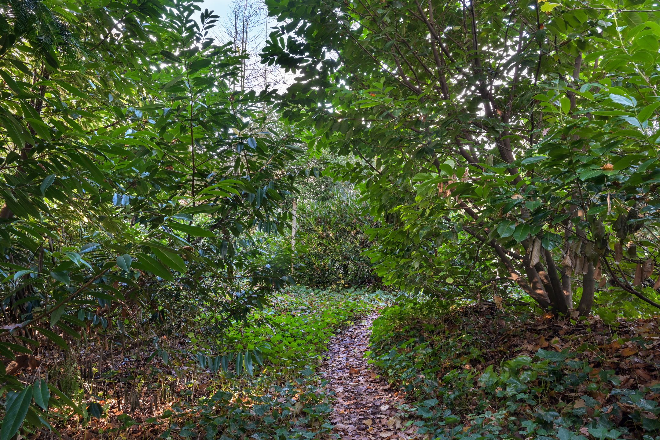 Foto 54 van Johan de Wittlaan 19