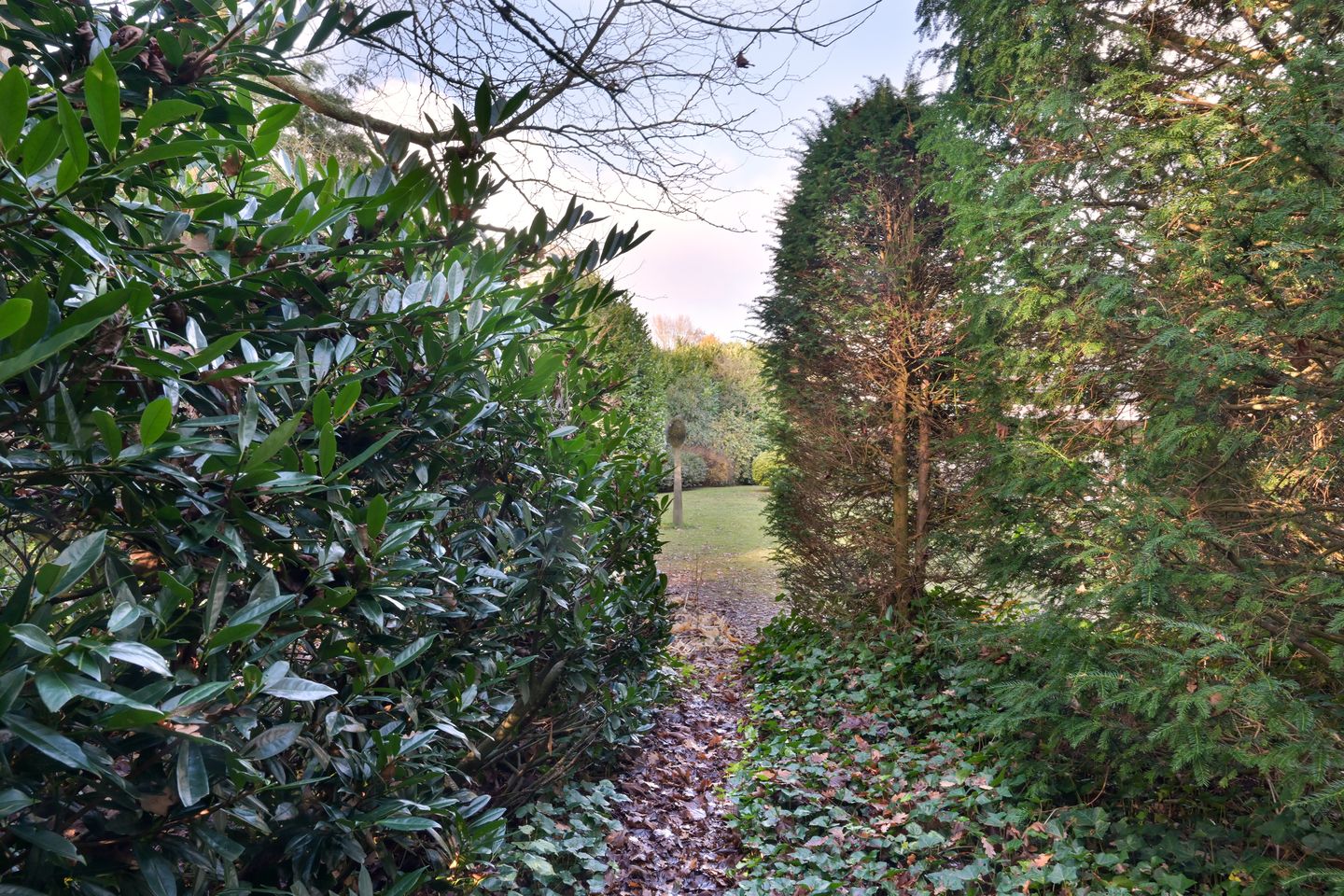 Foto 55 van Johan de Wittlaan 19