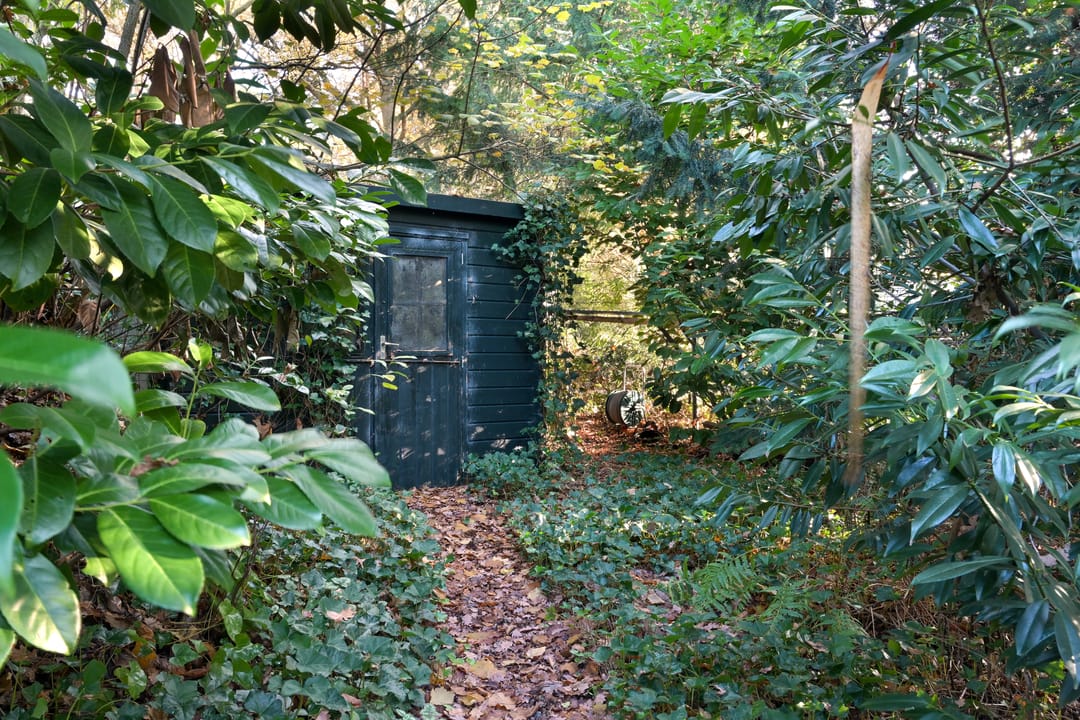 Foto 56 van Johan de Wittlaan 19