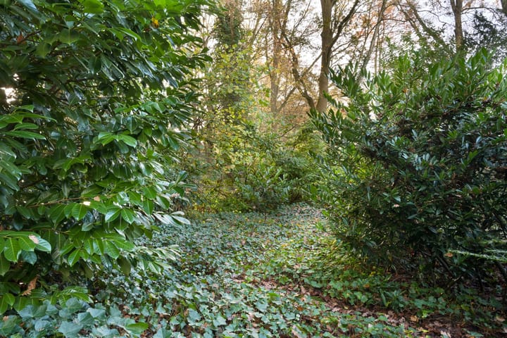 Photo 57 of Johan de Wittlaan 19