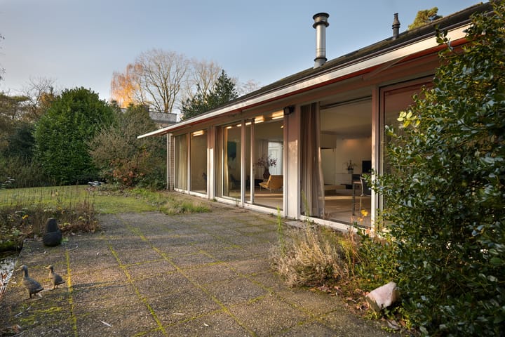 Photo 49 of Johan de Wittlaan 19