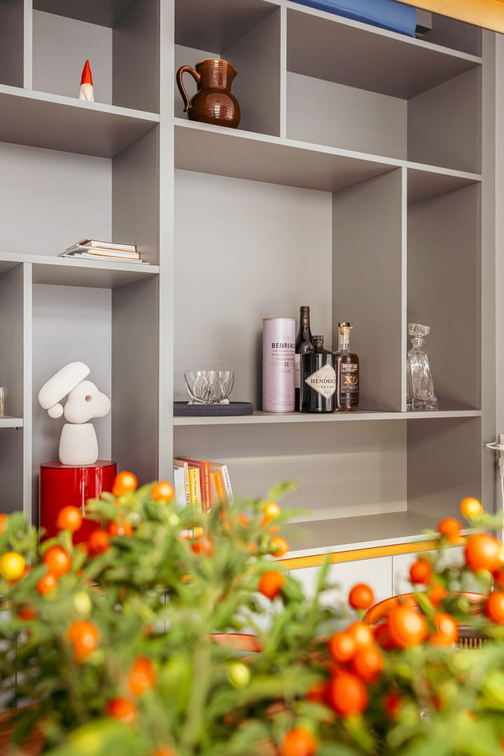 Foto 11 van Heemstedestraat 62-2