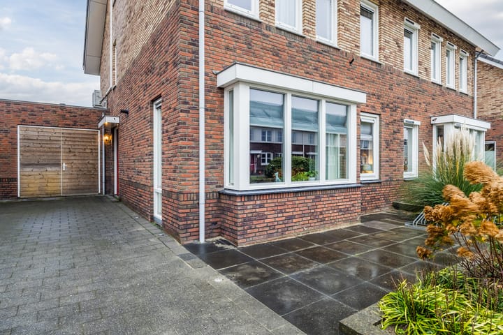 Foto 5 van Aardbeivlinder 133