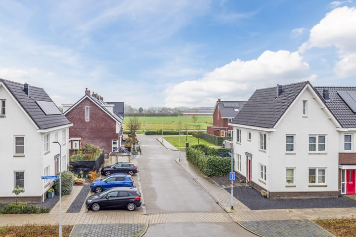 Foto 55 van Aardbeivlinder 133