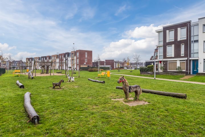 Foto 70 van Aardbeivlinder 133