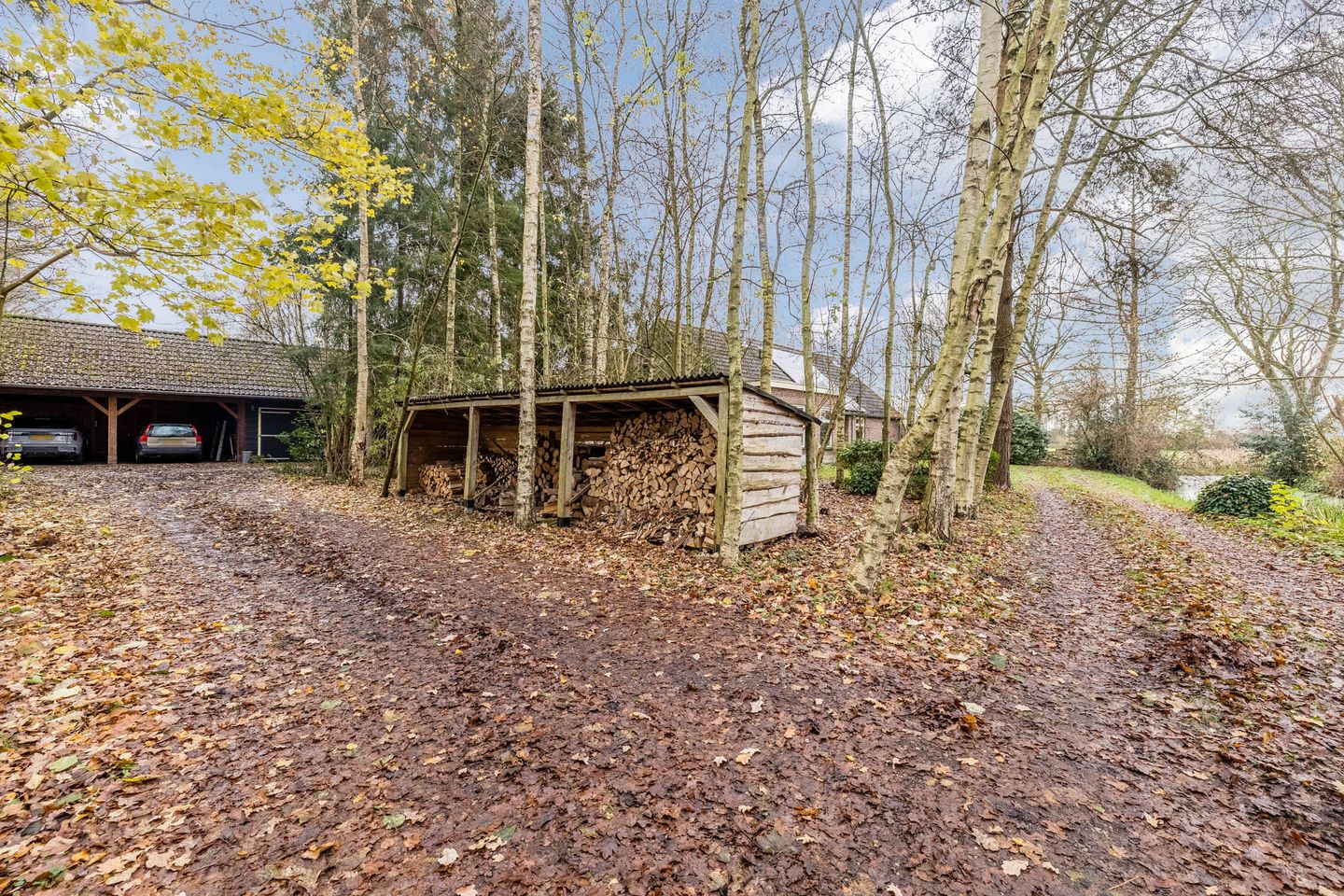 Photo 5 of Oude wijk 5