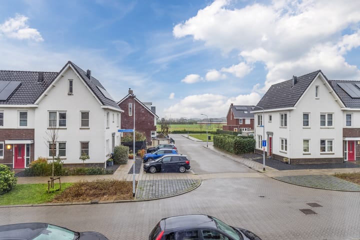 Foto 56 van Aardbeivlinder 133