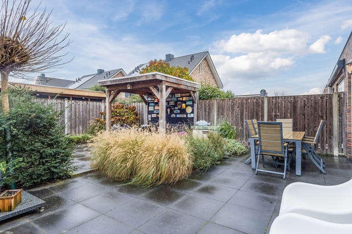 Foto 62 van Aardbeivlinder 133