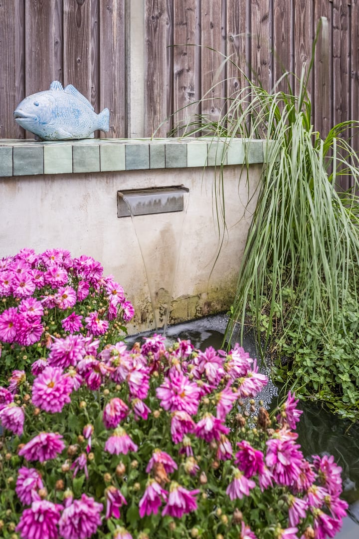 Foto 66 van Aardbeivlinder 133