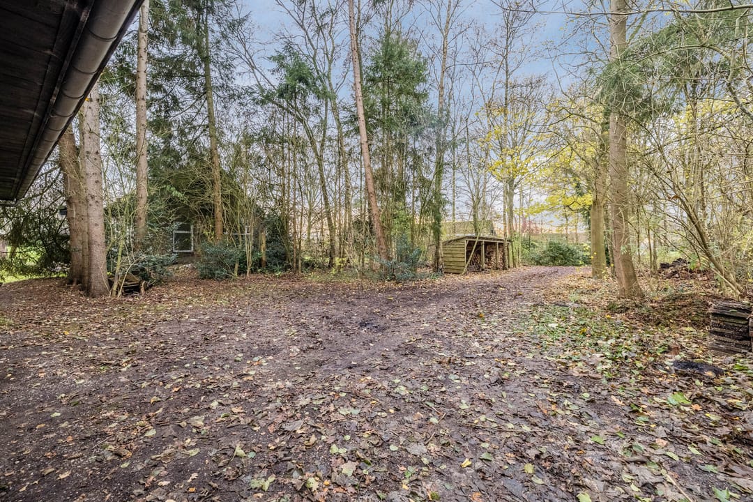 Photo 56 of Oude wijk 5