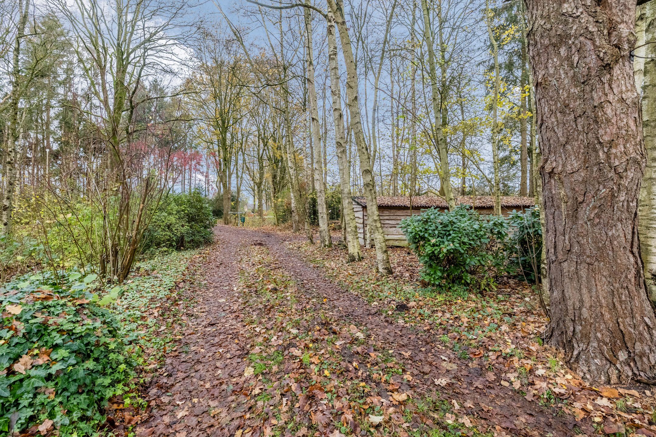 Photo 57 of Oude wijk 5