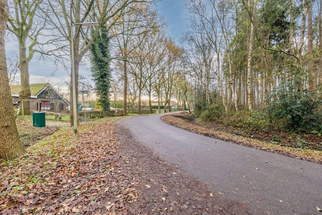 Photo 58 of Oude wijk 5