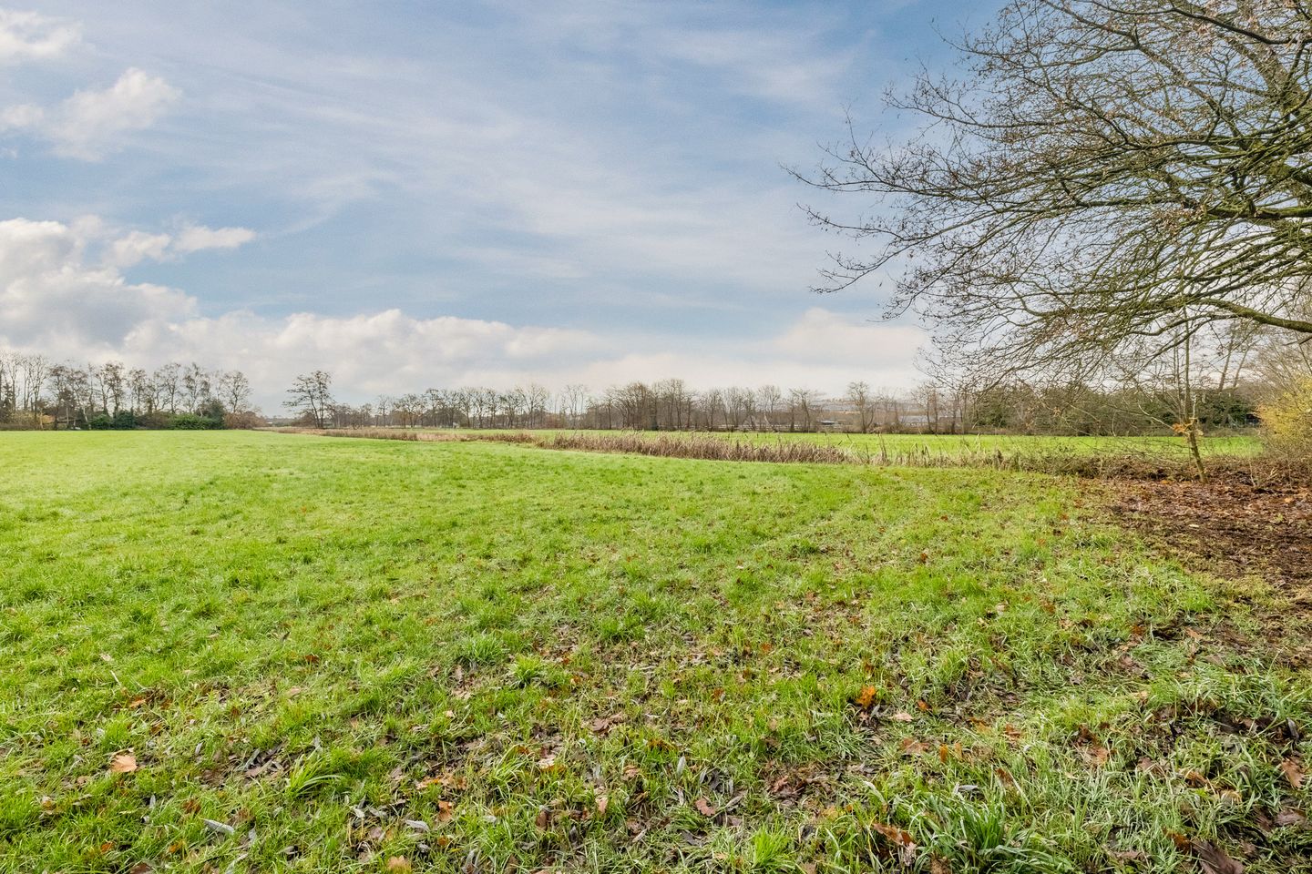 Photo 59 of Oude wijk 5