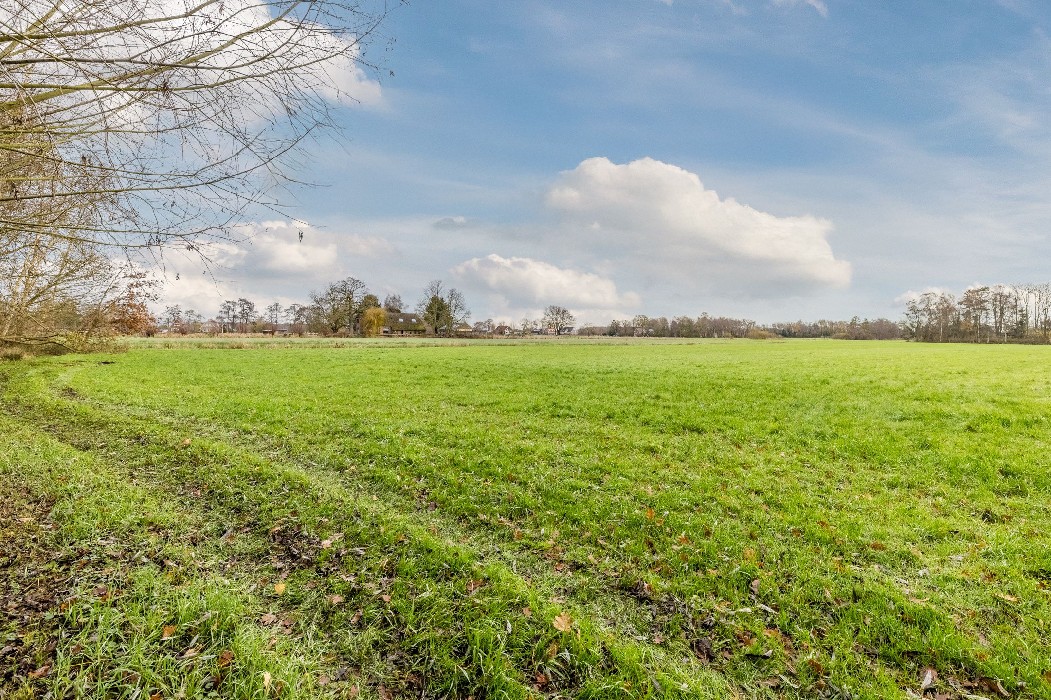 Photo 60 of Oude wijk 5