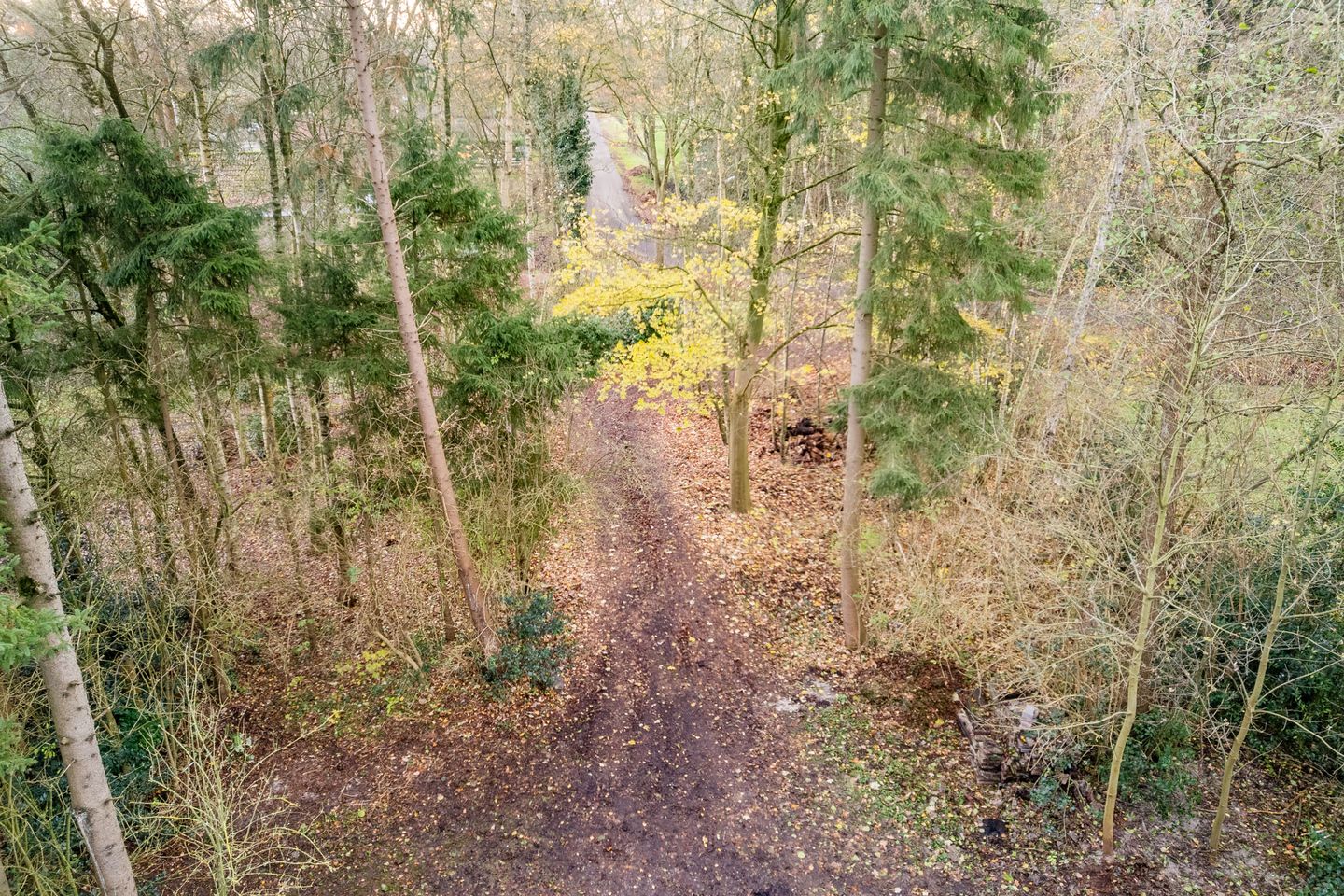 Photo 64 of Oude wijk 5