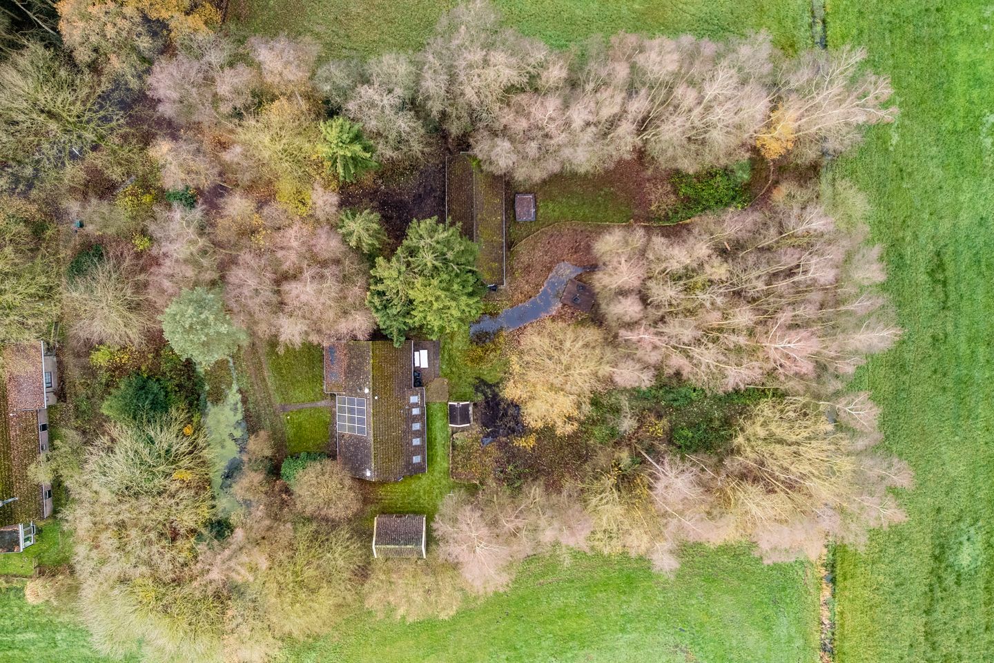 Photo 65 of Oude wijk 5