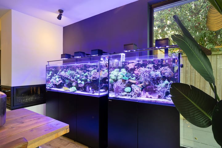 Foto 12 van Slot Aldeborglaan 9