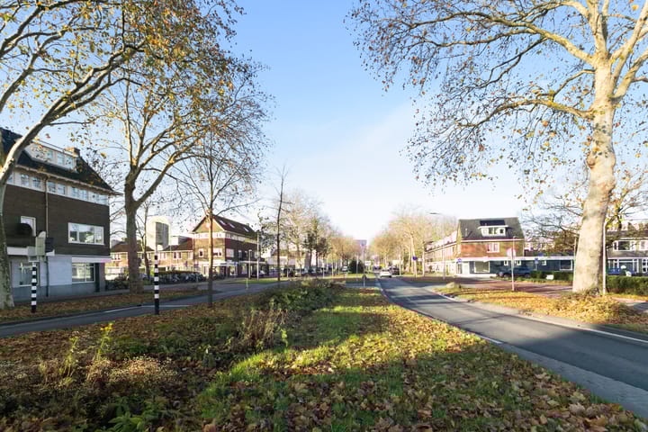 Foto 46 van Hooft Graaflandstraat 211