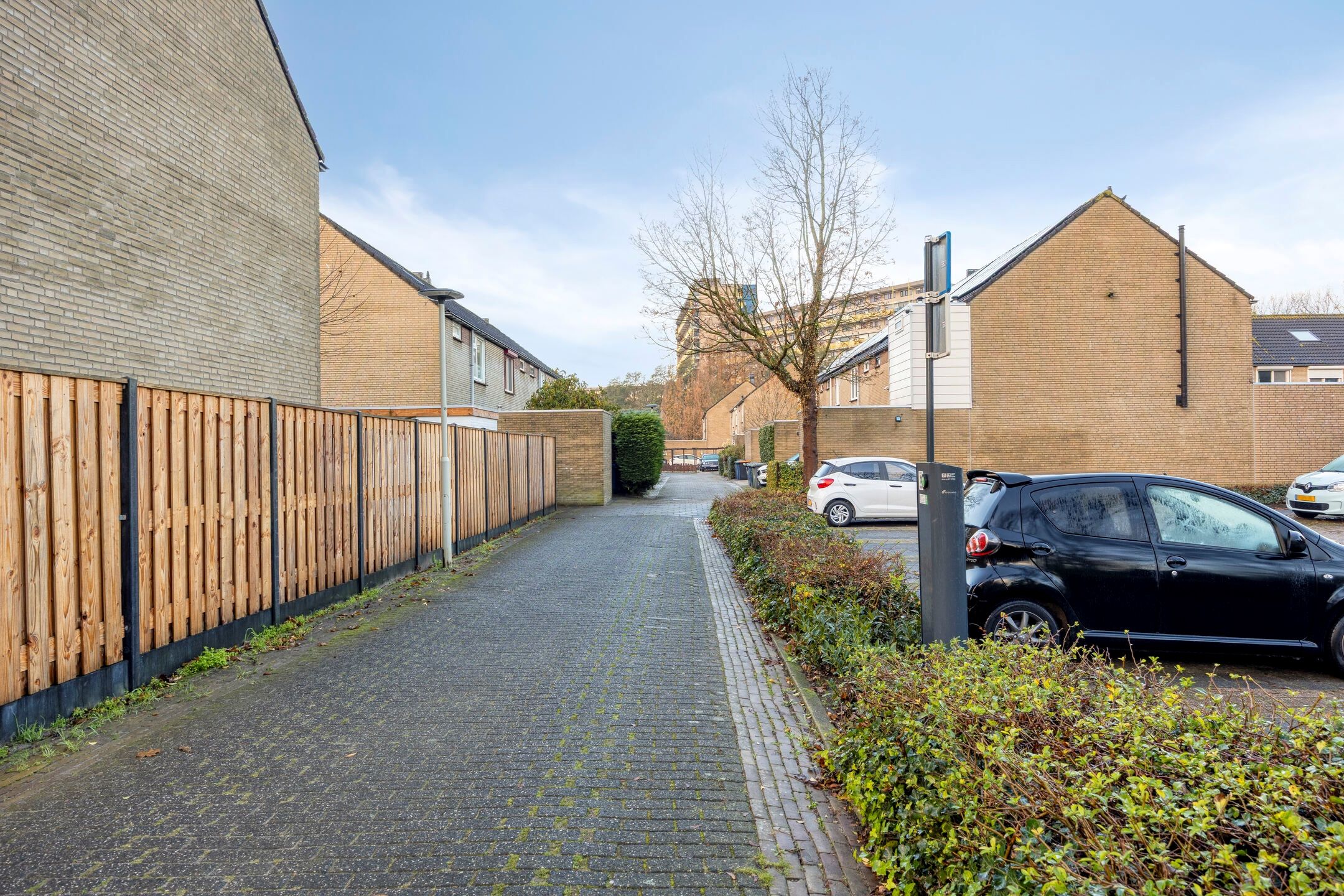 Foto 18 van Dokter Schöyerstraat 91